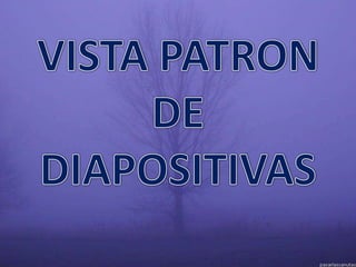 VISTA PATRON DE DIAPOSITIVAS 