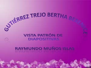 Gutiérrez Trejo Bertha Berenice  Vista patrón de diapositivas Raymundo Muños Islas  