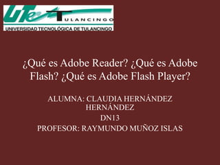 ¿Qué es Adobe Reader? ¿Qué es Adobe
 Flash? ¿Qué es Adobe Flash Player?
    ALUMNA: CLAUDIA HERNÁNDEZ
             HERNÁNDEZ
                DN13
  PROFESOR: RAYMUNDO MUÑOZ ISLAS
 