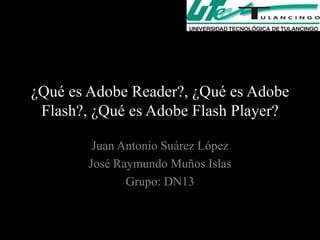 ¿Qué es Adobe Reader?, ¿Qué es Adobe
 Flash?, ¿Qué es Adobe Flash Player?

         Juan Antonio Suárez López
        José Raymundo Muños Islas
               Grupo: DN13
 