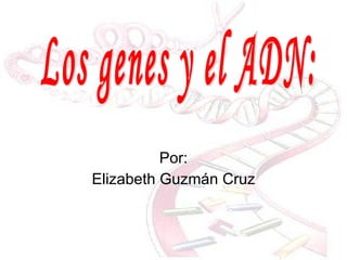 Por : Elizabeth Guzmán Cruz Los genes y el ADN: 