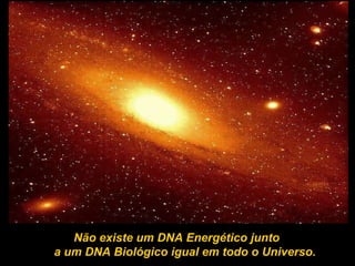 Não existe um DNA Energético junto  a um DNA Biológico igual em todo o Universo. 