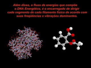 Além disso, o fluxo de energías que compõe  o DNA Energético, é o encarregado de dirigir  cada segmento de cada filamento físico de acordo com suas freqüências e vibrações dominantes.   