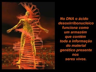 No DNA o ácido desoxirribonucleico funciona como  um armazém  que contém  toda a informação do material genético presente nos  seres vivos. 