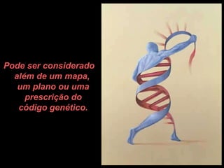 Pode ser considerado além de um mapa,  um plano ou uma prescrição do código genético. 