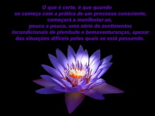 O que é certo, é que quando  se começa com a prática de um processo consciente, começará a manifestar-se,  pouco a pouco, uma série de sentimentos incondicionais de plenitude e bemaventuranças, apesar das situações difíceis pelas quais se está passando.   