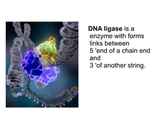 series of experiments  