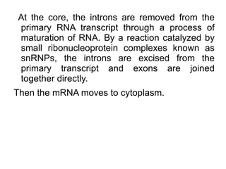 STRUCTURE Each DNA molecule  consists of two chains  formed by a large  number of chemical  compounds called  nucleotides . 