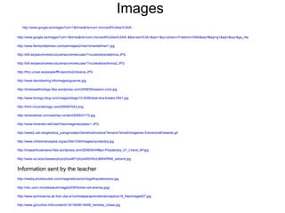 Alterations of genetic material. 