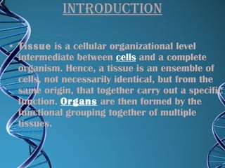 INTRODUCTION Tissue  is a cellular organizational level intermediate between  cells  and a complete organism. Hence, a tissue is an ensemble of cells, not necessarily identical, but from the same origin, that together carry out a specific function.  Organs  are then formed by the functional grouping together of multiple tissues. 