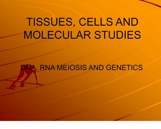 TISSUES, CELLS AND MOLECULAR STUDIES DNA, RNA MEIOSIS AND GENETICS 