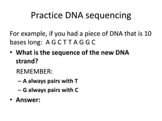 Dna! | PPTX