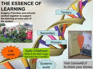 Systems world Life world Primary Secondary Tertiary THE ESSENCE OF  LEARNING Imagine if families and schools  worked together to support  the learning at every part of  the system Early Childhood What is the DNA magic that joins the 2 worlds? Visit Centre4ELF to share your stories 