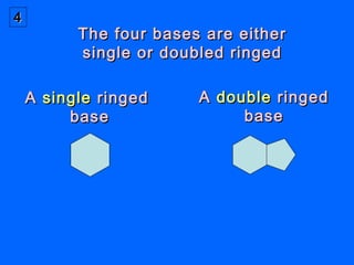 There are two types ofThere are two types of singlesingle ringedringed
basesbases
ThymineThymine
CytosineCytosine
TT
CC
55
 