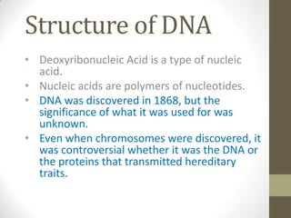 Structure of DNA ,[object Object]