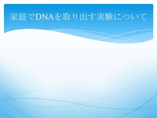 家庭でDNAを取り出す実験について 