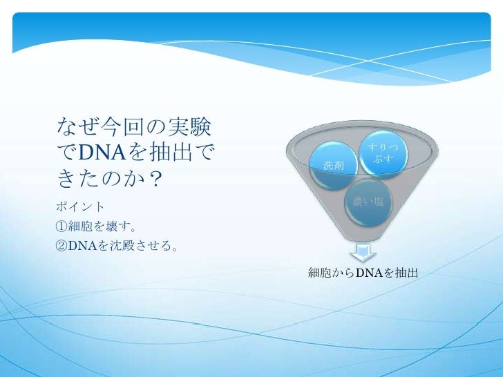 家庭でdnaを取り出す