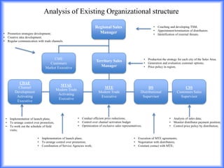 Analysis of Existing Organizational structure Regional Sales ManagerCoaching and developing TSM;