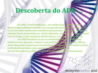 Descoberta do ADN …Em 1869, Friedrich Miescher , um médico Suíço, extraiu de uma ligadura alguns glóbulos brancos e fez uma grande descoberta. Descobriu que o núcleo da célula retinha uma substância desconhecida. Mais tarde, substâncias idênticas foram encontradas em células diferentes, desde a célula de um animal à de um fungo. A este composto químico deu-se o nome de ácido nucleico.Em 1929 descobriu-se que na constituição dos ácidos nucleicos interferem dois açucares: a ribose e a desoxirribose. Designou-se por ARN ou ácido ribonucleico aquele que é constituído por ribosee o  outro ácido nucleico contendo desoxirribose como açúcar é conhecido como ácido desoxirribonucleico ou ADN, este último foi encontrado nos cromossomas. 