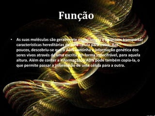 Cada conjunto de três nucleótidos (bases) codifica um aminoácido, a unidade constituinte das proteínas. Quando existem erros na cadeia do ADN (mutações), poderão são incorporados aminoácidos errados na proteína, e esta deixará de funcionar correctamente. É daqui que resultam doenças como o cancro. Muitas vezes, os erros no ADN são transmitidos de pais para filhos resultando em doenças hereditárias.FunçãoFunçãoAs suas moléculas são geralmente muito longas e pareciam transportar características hereditárias de uma célula para outra. Aos poucos, descobriu-se que o ADN continha a informação genética dos seres vivos através de uma escrita em forma indecifrável, para aquela altura. Além de conter a informação, o ADN pode também copia-la, o que permite passar a informação de uma célula para a outra.O ADN é formada uma hélice dupla em que os degraus são formados por pares de bases ligadas entre si. Em 1953, James Watson e Francis Crick propuseram a sua estrutura em Cambridge, Inglaterra. Conseguiram descrever correctamente a estrutura da dupla hélice da molécula de ADN. Compreenderam que devido aos pares das bases as duas cadeias são complementares. Quando uma célula se divide, as cadeias separam-se e cada uma constrói uma nova cadeia.A descoberta da estrutura do ADN abriu o caminho para se perceber como a informação genética é transmitida de pais para filhos ou de uma célula para outra. Hoje em dia, esta descoberta tem um impacto em muitas áreas da vida , tais como a saúde e a medicina, a reprodução, a alimentação, a longevidade, etc. A imagem da dupla hélice do ADN tornou-se num símbolo utilizado por cientistas, artistas e organizações políticas. Estrutura