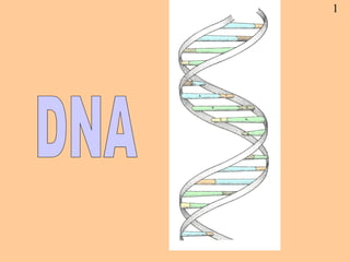 DNA 1 