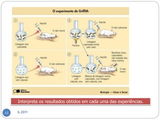 Interpreta os resultados obtidos em cada uma das experiências.

12   IL 2011
 