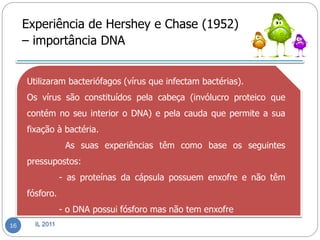 Experiência de Hershey e Chase (1952)
     – importância DNA


     Utilizaram bacteriófagos (vírus que infectam bactérias).
     Os vírus são constituídos pela cabeça (invólucro proteico que
     contém no seu interior o DNA) e pela cauda que permite a sua
     fixação à bactéria.
                  As suas experiências têm como base os seguintes
     pressupostos:
                 - as proteínas da cápsula possuem enxofre e não têm
     fósforo.
                 - o DNA possui fósforo mas não tem enxofre
16     IL 2011
 