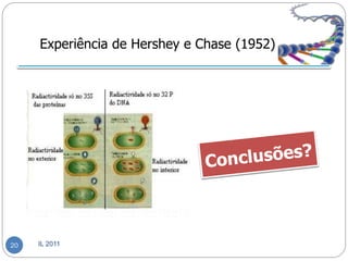 Experiência de Hershey e Chase (1952)




20   IL 2011
 