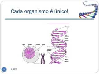 Cada organismo é único!




29   IL 2011
 