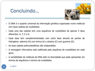 Concluindo…

        O DNA é o suporte universal da informação genética organizado numa molécula
         com duas cadeias de nucleótidos.
        Cada uma das cadeias tem uma sequência de nucleótidos de apenas 4 tipos
         diferentes: A, T, C e G.
        Cada base tem complementaridade com outra base através de pontes de
         hidrogénio: adenina (A) com timina (t) e citosina (C) com guanina (G).
        As duas cadeias polinucleotídicas são antiparalelas.
        A mensagem informativa está codificada pela sequência de nucleótidos em cada
         gene.
        A variabilidade da molécula de DNA está na diversidade que pode apresentar em
         termos de sequência e número de nucleótidos.

30         IL 2011
 