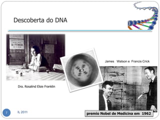Descoberta do DNA




                                             James Watson e Francis Crick




     Dra. Rosalind Elsie Franklin




7    IL 2011
                                    premio Nobel de Medicina em 1962
 