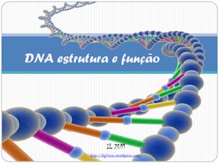 DNA estrutura e função




                   IL 2011
          http://bg11esc.wordpress.com/
 