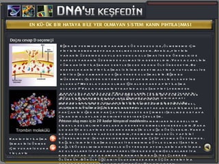 EN KÜÇÜK BİR HATAYA BİLE YER OLMAYAN SİSTEM: KANIN PIHTILAŞMASI Eğer bir yerimizde bir kanama söz konusu ise, ölmememiz için pıhtının hemen meydana gelmesi gerekir. Ayrıca, pıhtının yaranın üzerinde boylu boyunca oluşması ve en önemlisi de sadece yaranın üzerinde kalması da gereklidir. Yoksa canlının tüm kanı pıhtılaşarak sertleşecek ve onu öldürecektir. Bu nedenle kanın pıhtılaşması sıkı bir denetim altında tutulmalı ve pıhtı doğru zamanda doğru yerde oluşmalıdır. Eğer bu mükemmel işleyen sistemde en ufak bir aksaklık olsaydı ne olurdu? Mesela yara olmadığı halde kanda pıhtılaşma olsaydı? Ya da yaranın etrafında oluşan pıhtı, yerinden rahatlıkla ayrılsaydı? Bu soruların tek bir cevabı vardır: Böyle bir durumda kalp, akciğer veya beyin gibi hayati organlara giden yollar pıhtı tıkaçlarıyla tıkanırdı. Bu durumda ölüm kaçınılmaz olurdu.  Ancak hastalık durumları dışında böyle bir şey olmaz ve her insan sağlıklı bir biçimde yaşamını sürdürür. Bir kan pıhtısının oluşması, pıhtının sınırlarının belirlenmesi, oluşan pıhtının güçlendirilmesi veya ortadan kaldırılması, bir parçanın diğer bir parçayı harekete geçirmesi şeklinde ortaya çıkan bir olaylar zinciri neticesi gerçekleşir.  Pıhtının oluşması için 20 kadar kimyasal maddenin  birbiri ardınca belli bir sırayla belirli miktarlarda  devreye girmeleri gereklidir. Daha ilk bakışta olayın ne kadar karmaşık olduğu görülebilir. Yanda bu maddelerden sadece birinin, trombinin molekül yapısını görebilirsiniz. şekildeki her bir renk bir çeşit atomu gösteriyor. Sağlıklı bir pıhtılaşma olması trombinin böyle olması şartına bağlı. Sözgelimi mavi renkle gösterilen atomların sayısı daha az olsalardı ya da daha farklı şekilde dizilmiş olsalardı ya kanamadan  ya da damar tıkanmasına bağlı felçlerden ölürdük. Görüldüğü gibi vücudumuzda en küçük ayrıntıya varana dek kusursuz bir biçimde çalışan bir sistem varedilmiştir. Trombin molekülü Doğru cevap D seçeneği Kanın pıhtılaşma şemasını görmek için yukarı okuna tıklayın 