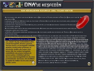 Alyuvarlar, miktar bakımından diğer kan hücrelerine göre çoğunluktadır. Yetişkin bir erkeğin  damarlarında 30 milyar alyuvar yüzer. Bu sayıdaki alyuvarlarla bir futbol sahasının neredeyse  yarısı kaplanabilir. Kanımıza, dolayısıyla tenimize renk veren hücreler alyuvarlardır. Alyuvarlar yassı disklere benzer. Esneklikleri sayesinde en dar kılcal damarlardan ya da en  küçük gözeneklerden geçebilir. Alyuvarların bu esneklik özelliği olmasaydı, vücudun pek  çok noktasında takılı kalırlardı. Çünkü kılcal damarlar yalnızca 4-5 mikrometre kalınlığındadır  (1 mikrometre=milimetrenin binde biri). Oysa alyuvarların çapları 7,5 mikrometredir.  Eğer alyuvarlar böylesine büyük bir esneme özelliğinde yaratılmamış olsalardı ne olurdu? Bu sorunun cevabını şeker hastalığını araştıranlar bilir. Şeker hastalarının kan hücreleri genellikle esnekliklerini yitirir. Bu nedenle, hastaların gözlerindeki hassas dokular esnek olmayan kan hücreleri tarafından tıkanır. Bu tıkanma ise körlüğe yol açabilir. Kan, oksijen dağıtıp, karbondioksit alma işlevini hemoglobin olmadan yapamaz. Yani kan denen sıvı hemoglobin molekülü olmadan işlevini yerine getiremez ve hücrelerine oksijen ulaşmayan canlı hemen ölür. Bu canlının hemoglobin molekülünün oluşumunu bekleyecek zamanı yoktur. Görüldüğü gibi kan oluştuğu anda hemoglobinin de oluşması gerekmektedir. Yani kanın, tüm özellikleri ve yapıları ile birlikte tek bir anda ortaya çıkması şarttır.  Hemoglobinin Ortaya Çıkışı “ Kanın oluşumu, tek başına bir destan gibidir. Çoğunun yeterince anlaşılmadığı en az 80 unsurdan oluşur. En büyük öneme sahip olan bileşen ise hemoglobindir. Hemoglobin akciğerdeki oksijeni alırken, karbondioksiti bırakır ve oradan kaslara geçer. Orada ise tam tersi işlevi yapar, oksijeni bırakıp, karbondioksiti alır. Kaslar besinleri yakıp karbondioksit oluşturur. Bir arabanın akaryakıt yakıp karbonmonoksit üretmesi gibi. Bu madde gerçekten olağanüstü bir moleküldür ki, bir anda oksijene karşı birleşme eğilimi gösterirken, birkaç saniye sonra bu eğilimini kaybeder. Bir anda tercihi karbondioksite bağlı olarak değişir. Bu da onu daha da dikkate değer yapar. Yaptığı işe uyum gösteren daha iyi bir örnek yoktur .“  ( Rattray Taylor, The Great Evolution Mystery, Harper&Row, Publishers, New York: s.108  ) KAN HÜCRELERİNİN KUSURSUZ ŞEKLİ YAŞAM VERİYOR 