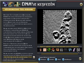VÜCUDUMUZDAKİ ÖZEL KODLAMA Keşif için aşağıdaki resimlere veya sağ alttaki butona tıklayabilirsiniz. Resmin üst kısmına doğru bakın, DNA’nın kendi üzerinden geçerek bir ilmik oluşturan parçasını göreceksiniz. Bilim adamları bu fotoğraftan yola çıkarak sarmallar arasındaki mesafeyi ölçebildiler. Bilim adamları, 1953’te Watson ve Crick tarafından DNA’nın yapısını ilk kez açıklamalarından bu yana çok yol kat etti. Elde edilen bilgiler genetik ve insan sağlığı konularında son derece gelişmiş araştırmaların yapılamasını sağladı. Fakat tüm bunlara rağmen DNA’yı ve insanın gen haritasının tamamını anlayabilmek için daha çok araştırma yapılması gerekmektedir.  Bilim adamları DNA’da depolanan engin bilgiyi düşündükçe bugüne kadar yapıların sadece bir başlangıç olabileceğini söylüyorlar. Daha fazla bilgi almak için yandaki butona tıklayın Hangisi DNA’nın bir bölümüdür? A)  Mutasyon  B)  Genetik  C)  Histon  D) Modifikasyon 