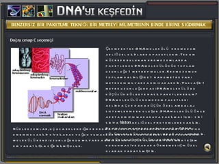Çekirdekteki DNA molekülü kromozom adlı özel kılıflarda paketlenir. Tek bir hücrede bulunan kromozomlarda paketlenen DNA molekülünün toplam uzunluğu 1 metreyi bulur. Kromozomun toplam kalınlığı ise 1 nanometre yani metrenin milyarda biri kadardır. Yaklaşık 1 metre uzunluğundaki DNA molekülü bu küçücük bölgeye nasıl paketlenebilir?  DNA molekülü kromozom paketleri aslında çok daha küçük özel ambalaj sistemlerinden oluşur. DNA molekülü önce adeta bir ipin makaraya sarılması gibi sıkı sıkıya  histon  adlı özel proteinlere sarılır. Bu histon makaralarına sarılmış DNA bölümleri nükleozom olarak adlandırılır. Bu nükleozom bölümleri DNA'nın korunması ve zarar görmemesi için özel olarak yaratılmıştır.  Doğru cevap C seçeneği Nükleozomlar, uç uca eklendiğinde kromatinleri oluştururlar. Kromatinde iyice birbirine sarılıp kıvrılarak yoğun yumaklar meydana getirirler. Ve böylece DNA molekülü kendi uzunluğunun milyarda biri kadar küçük olan bir yere muhteşem bir yaratılışla sığdırılmış olur.  BENZERSİZ BİR PAKETLME TEKNİĞİ: BİR METREYİ MİLİMETRENİN BİNDE BİRİNE SIĞDIRMAK 