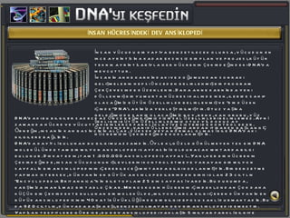 İNSAN HÜCRESİNDEKİ DEV ANSİKLOPEDİ İnsan vücudu bir yapıya benzetilecek olursa, vücudun en ince ayrıntısına kadar eksiksiz bir plan ve projesi, bütün teknik ayrıntılarıyla her hücrenin çekirdeğindeki DNA'da mevcuttur.  İnsanın anne karnındaki ve doğumundan sonraki gelişmelerin hepsi önceden belirlenmiş bir program çerçevesinde düzenlenir. Daha anne karnında yeni döllenmiş bir yumurta hücresi halinde iken, ileride sahip olacağımız bütün özellikler belirlenmiş ve &quot;bir düzen içinde&quot; DNA'larımıza yerleştirilmiştir. Otuz yaşına geldiğimizde sahip olacağımız boy, renk, kan grubu, yüz şekli gibi bütün özelliklerimiz otuz yıl dokuz ay öncesinden, yani döllendiğimiz andan itibaren başlangıç hücremizin çekirdeğinde kodlanmıştır. DNA'daki bu bilgiler sadece az önce değindiğimiz fiziksel özellikleri belirlemez. Aynı zamanda hücre ve vücuttaki binlerce farklı olayı ve sistemi de kontrol eder. Örneğin, insanın kan basıncının alçak, yüksek veya normal olması bile DNA'daki bilgilere bağlıdır. DNA'da kayıtlı bulunan bu bilgi muazzamdır. Öyle ki, gözle görülmeyen tek bir DNA molekülünde tam bir milyon ansiklopedi sayfasını dolduracak miktarda bilgi bulunur. Dikkat edin; tam 1.000.000 ansiklopedi sayfası... Yani, her bir hücrenin çekirdeğinde, insan vücudunun işlevlerini kontrol etmeye yarayan bir milyon sayfalık bir ansiklopedinin içerebileceği miktarda bilgi kodlanmıştır. Bir benzetme yapmak istersek, dünyanın en büyük ansiklopedilerinden birisi olan 23 ciltlik &quot;Encyclopedia Britannica&quot;nın bile toplam 25 bin sayfası vardır. Bu durumda, karşımıza inanılmaz bir tablo çıkar. Mikroskobik hücrenin içindeki, ondan çok daha küçük bir çekirdekte bulunan bir molekülde, milyonlarca bilgi içeren dünyanın en büyük ansiklopedisinin 40 katı büyüklüğünde bir bilgi deposu saklı durmaktadır. Bu da 920 ciltlik, dünyada başka eşi, benzeri olmayan dev bir ansiklopedi demektir. Yapılan tespitlere göre ise, bu dev ansiklopedi yaklaşık 5 milyar farklı bilgiye sahiptir.  