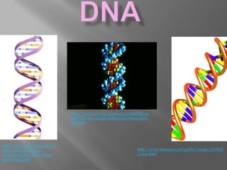 http://www.art.com/products/p14440206-sa-
                                 i3041774/dna-double-helix-deoxyribonucleic-
                                 acid.htm




http://www.tutorvista.com/co
ntent/biology/biology-                                               http://www.ifimages.com/public/image/1019632
iii/nucleic-acids/deoxyribose-                                       /view.html
nucleic-acid.php
 