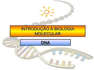 INTRODUÇÃO A BIOLOGIA
     MOLECULAR

       DNA
 