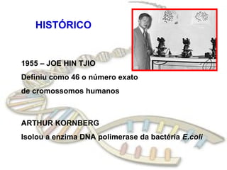HISTÓRICO


1955 – JOE HIN TJIO
Definiu como 46 o número exato
de cromossomos humanos



ARTHUR KORNBERG
Isolou a enzima DNA polimerase da bactéria E.coli
 