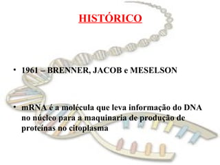 HISTÓRICO



• 1961 – BRENNER, JACOB e MESELSON



• mRNA é a molécula que leva informação do DNA
  no núcleo para a maquinaria de produção de
  proteínas no citoplasma
 