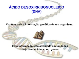 ÁCIDO DESOXIRRIBONUCLEICO
            (DNA)


Contém toda a informação genética de um organismo




    Esta informação está arranjada em unidades
            hoje conhecidas como genes
 