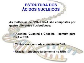 ESTRUTURA DOS
        ÁCIDOS NUCLEICOS


As moléculas de DNA e RNA são compostas por
quatro diferentes nucleotídeos:

  • Adenina, Guanina e Citosina – comum para
  DNA e RNA

  • Timina – encontrada somente no DNA

  • Uracila – encontrada somente no RNA
 
