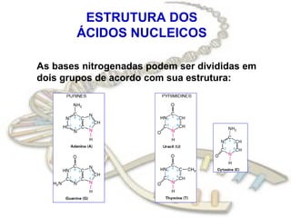 ESTRUTURA DOS
        ÁCIDOS NUCLEICOS

As bases nitrogenadas podem ser divididas em
dois grupos de acordo com sua estrutura:
 