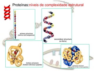 Proteínas:níveis de complexidade estrutural
 