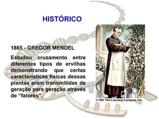 HISTÓRICO



1865 - GREGOR MENDEL
Estudou cruzamento entre
diferentes tipos de ervilhas
demonstrando que certas
características físicas dessas
plantas eram transmitidas de
geração para geração através
de “fatores”.
 