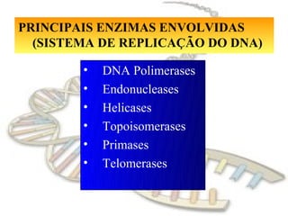 PRINCIPAIS ENZIMAS ENVOLVIDAS
  (SISTEMA DE REPLICAÇÃO DO DNA)

        •   DNA Polimerases
        •   Endonucleases
        •   Helicases
        •   Topoisomerases
        •   Primases
        •   Telomerases
 