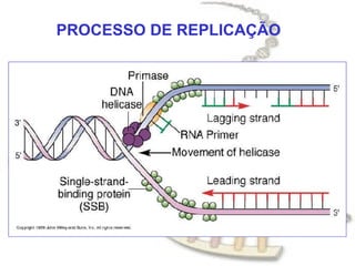 PROCESSO DE REPLICAÇÃO
 