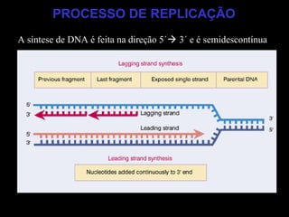 PROCESSO DE REPLICAÇÃO
A síntese de DNA é feita na direção 5´ 3´ e é semidescontínua
 