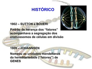 HISTÓRICO


1902 – SUTTON e BOVERI
Padrão de herança dos “fatores”
acompanhava a segregação dos
cromossomos de células em divisão


1909 – JOHANNSEN
Nomeou as unidades mendelianas
da hereditariedade (“fatores”) de
GENES
 